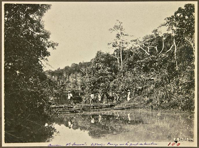 Annam Haut-Donnaï. Passage sur un pont (sans date)