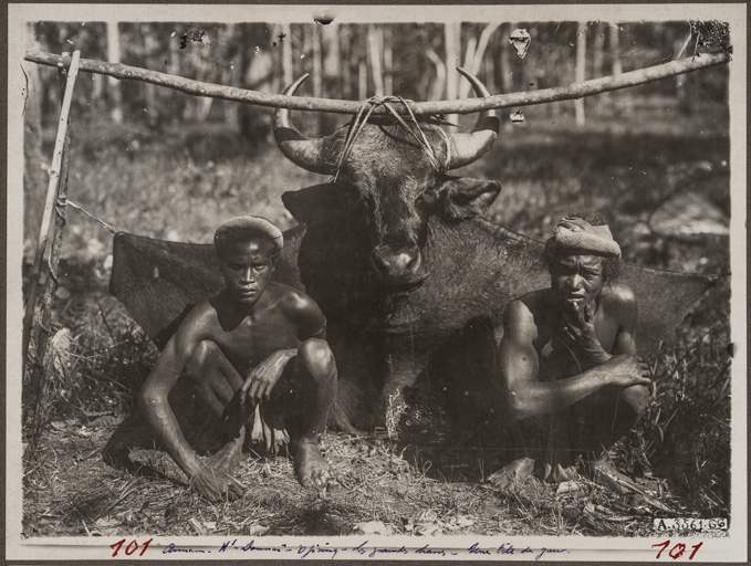 Annam, Haut Donnaï. Les grandes chasses (sans date)