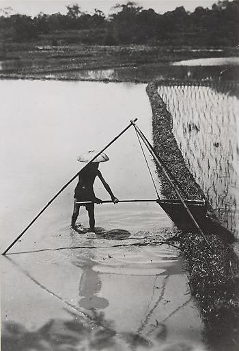 Le gau song, appareil à palettes permettant de faire passer l’eau 	d’une rizière à l’autre (1919-1926). Photographie de Têtard (René) provenant du fonds de l’Agence économique de la France d’outre-mer