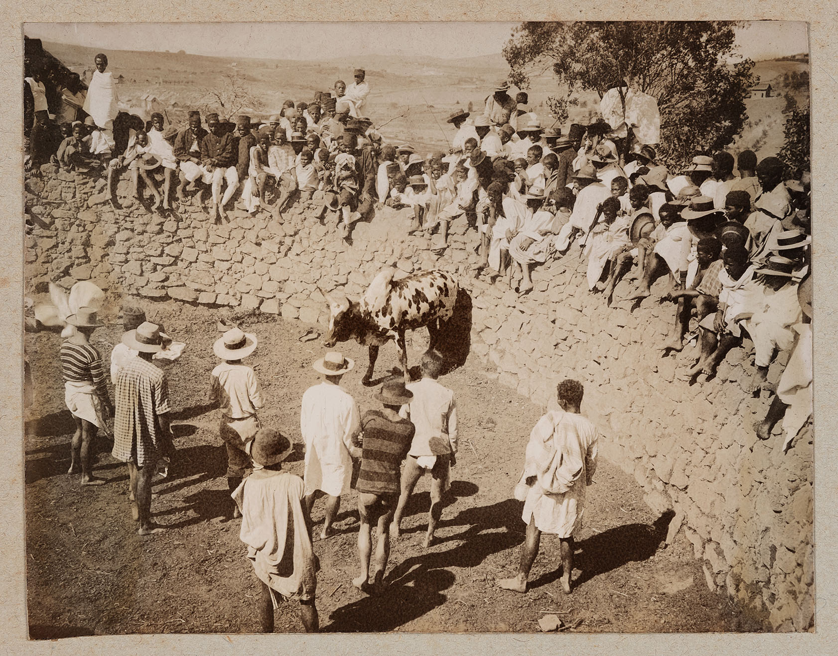 Photographie prises dans la région de Fianarantsoa circa 1902, © FR ANOM 8Fi 501