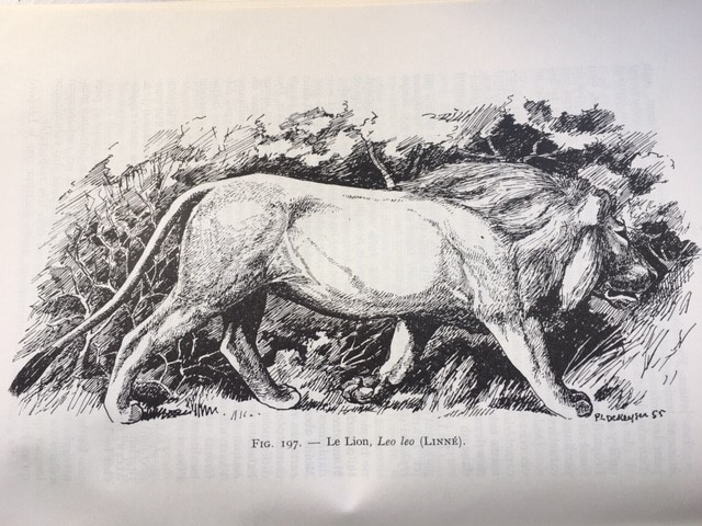 P.-L. Dekeyser, Les mammifères de l'Afrique noire française, Dakar, Institut français d'Afrique noire, 1955
